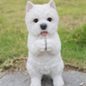 Meet your Posher, Alan